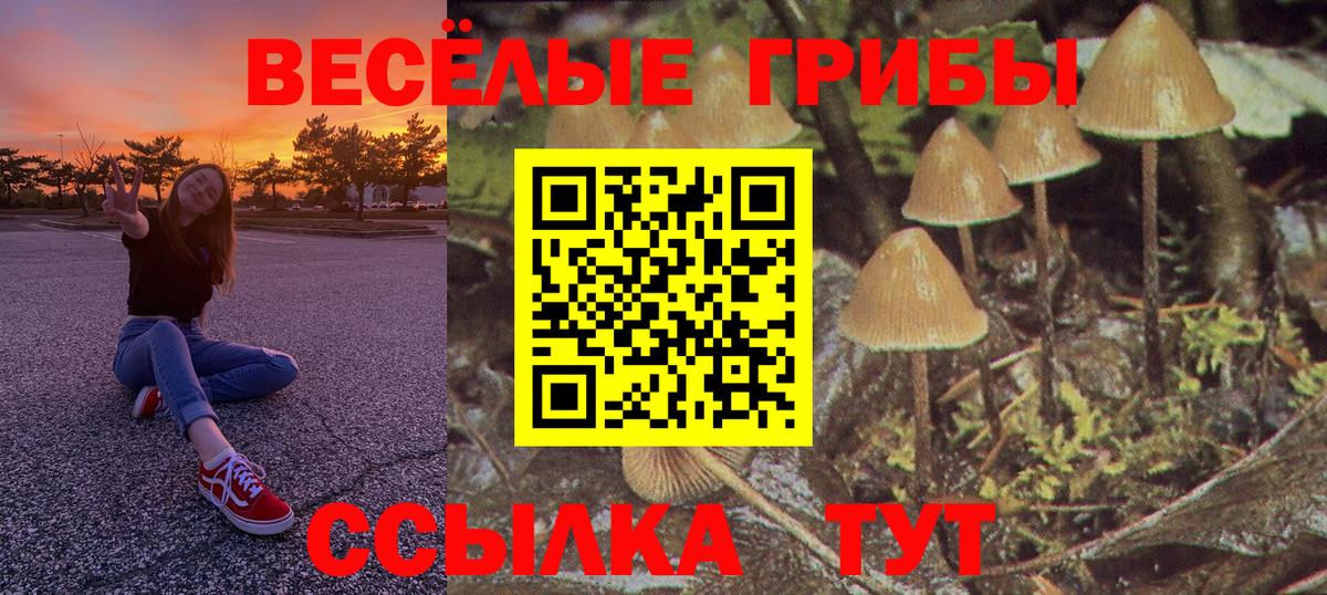 Мариинск  Галлюциногенные грибы Psilocybe  Галлюциногенные грибы ЛСД  Вход с VPN 