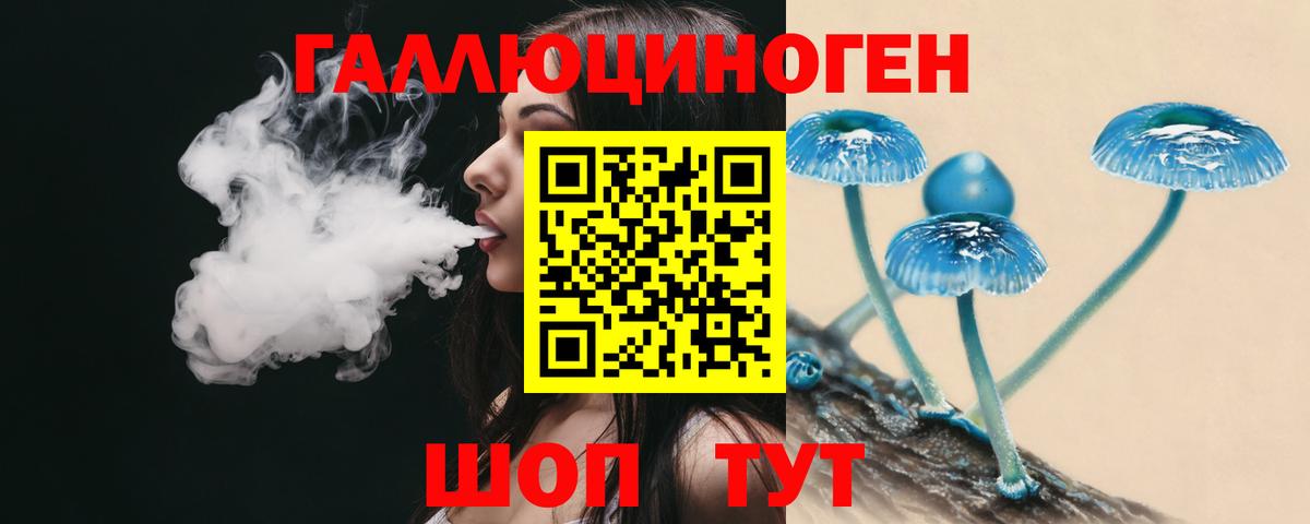 Галлюциногенные грибы Psilocybe Мариинск